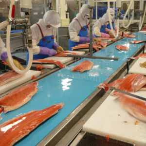 7_Meat Poultry _ Fish Industry